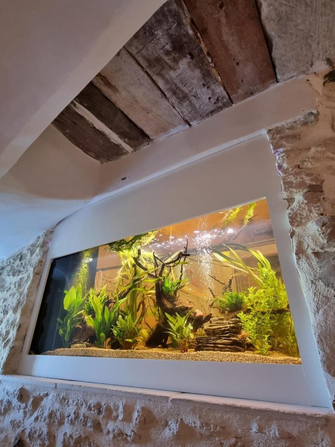 Maison Au Centre Du Village De Gordes Avec Vue Incroyable 外观 照片